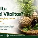terapi vitalitas